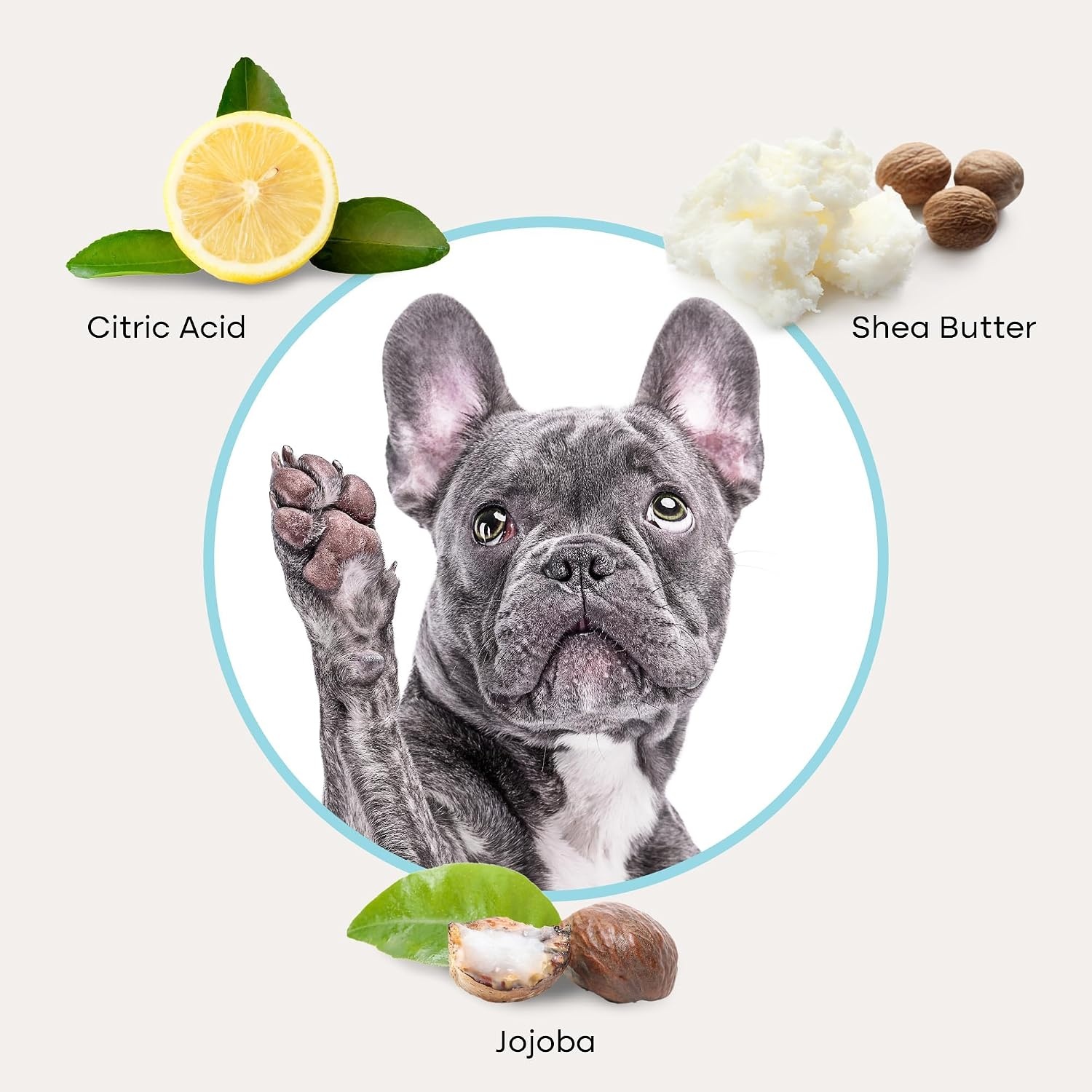 image:imageUproot Clean Cat amp Dog Ear Cleaner Finger Wipes Natural Disposable 50ct
