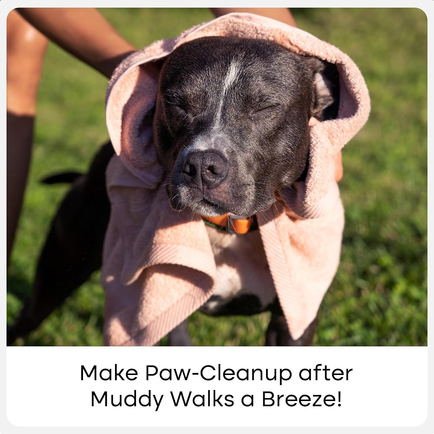 image:imageUproot Clean Dog Paw Cleaner NoRinse Paw Cleaner for Dogs Easy Dog Foot Washer with Bristle Brush FragranceFree Foot Scrubber for Home and OntheGo Hypoallergenic amp Safe All Dogs