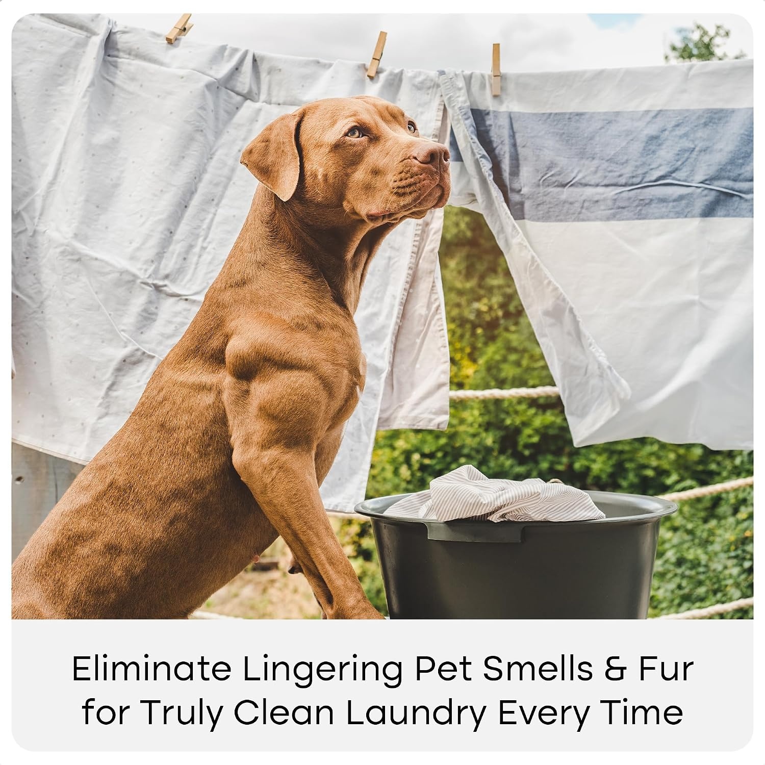 image:imageUproot Clean Laundry Cycle Pro 3Step Pet Hair Laundry Set UnscentedPro Fresh Coast