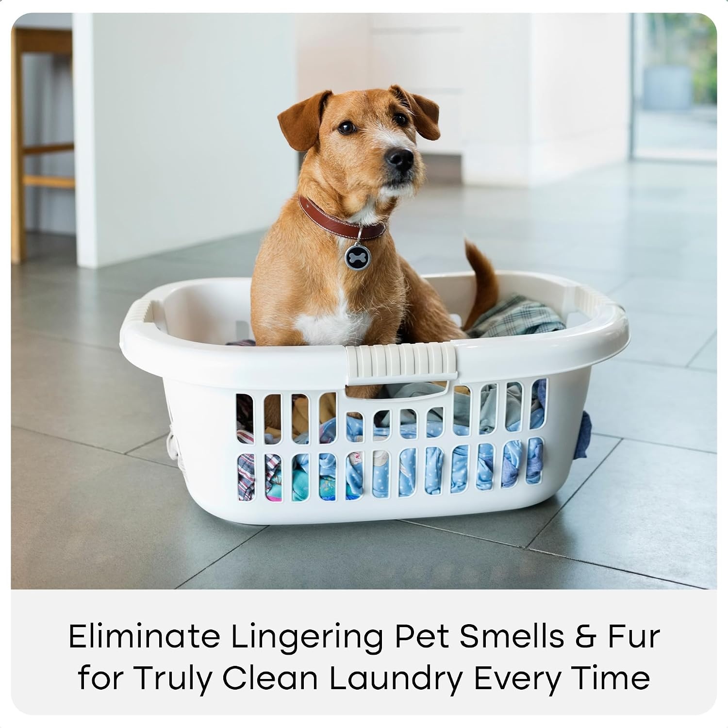 image:imageUproot Clean Laundry Cycle Pro 3Step Pet Hair Laundry Set UnscentedUltra Fragrance Free