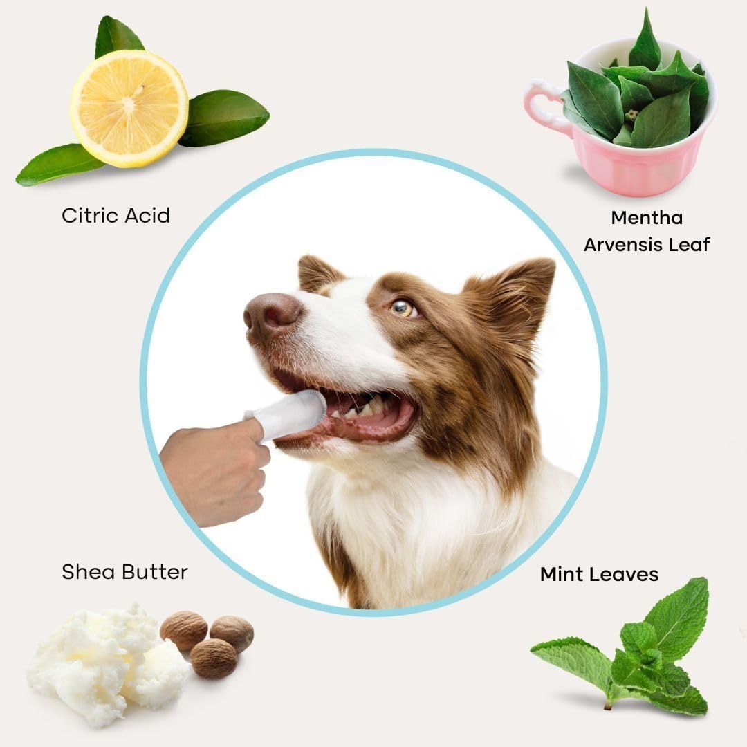 image:imageUproot Clean Pet Dental Finger Wipes Safe RinseFree Disposable 50ctDental Finger Wipes
