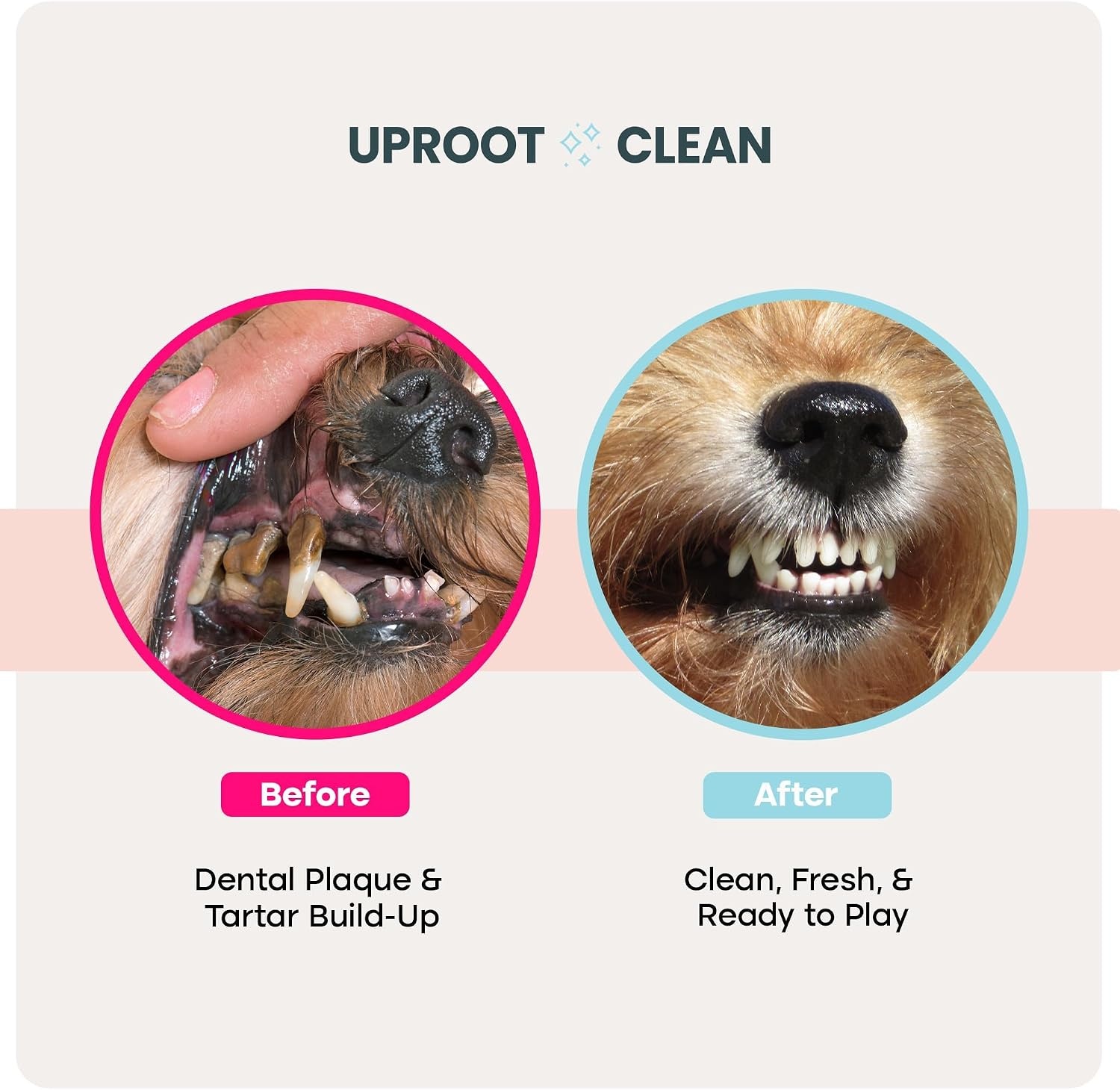 image:imageUproot Clean Pet Dental Finger Wipes Safe RinseFree Disposable 50ctDental Finger Wipes