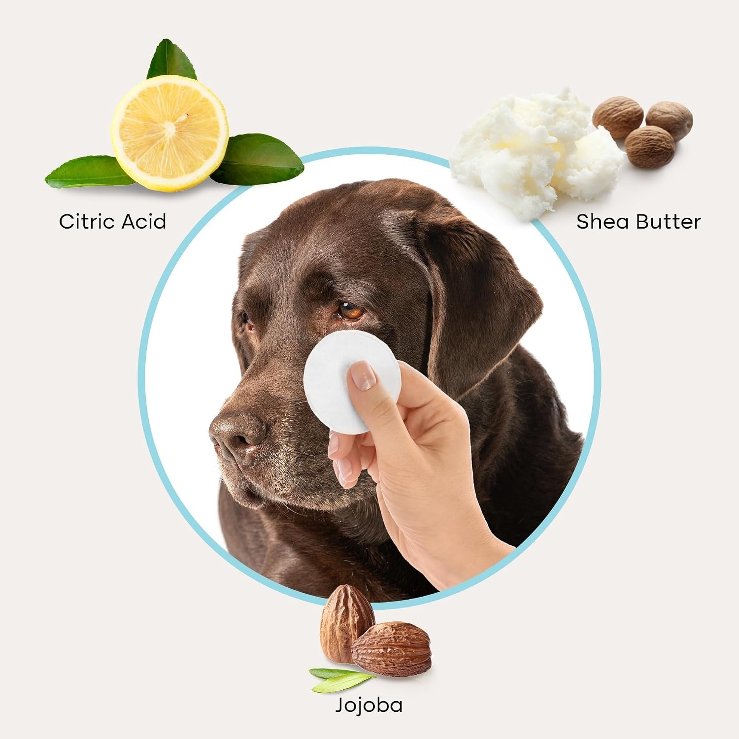 image:imageUproot Clean Pet Dental Finger Wipes Safe RinseFree Disposable 50ctEye Wipes