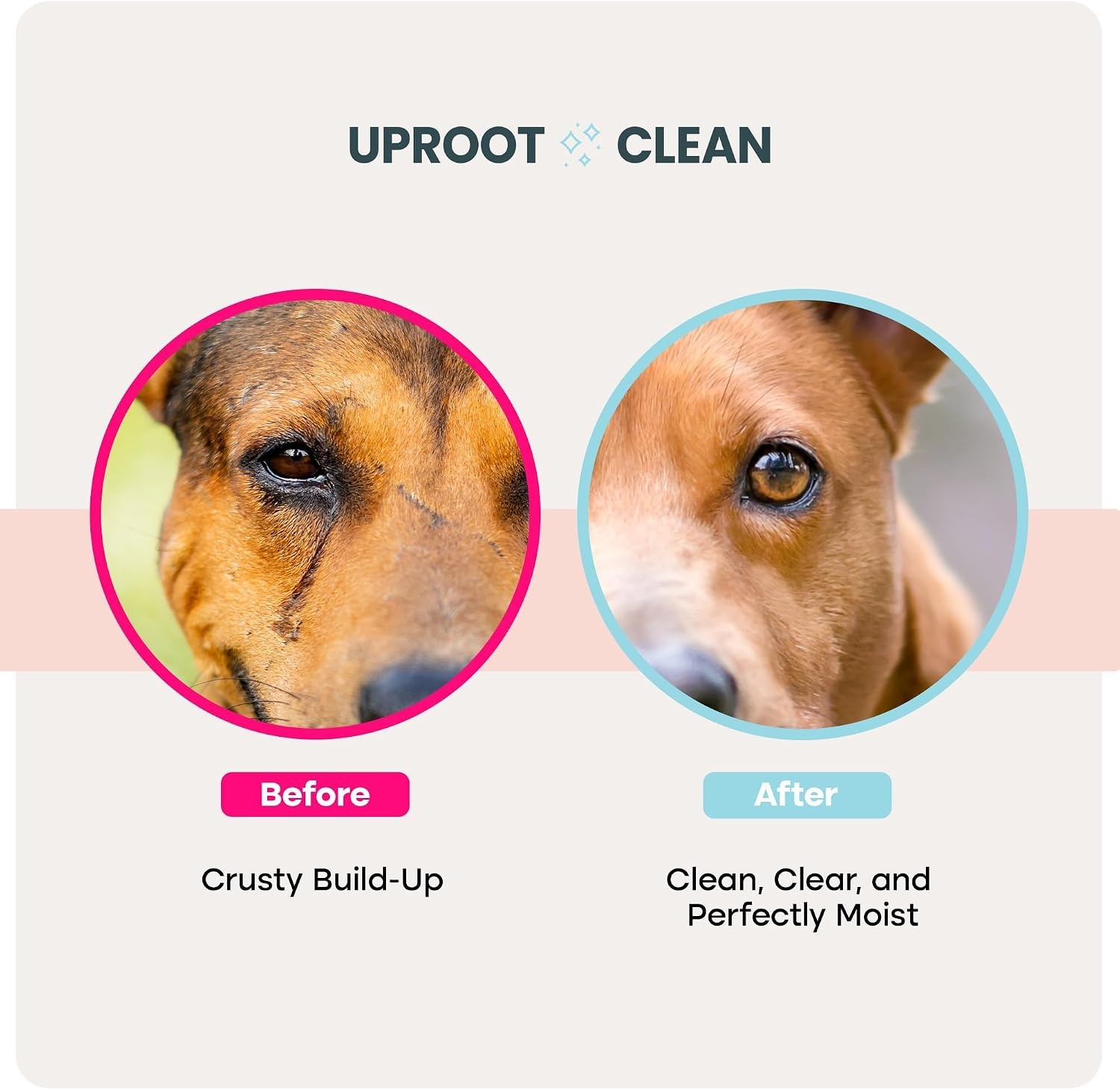 image:imageUproot Clean Pet Dental Finger Wipes Safe RinseFree Disposable 50ctEye Wipes