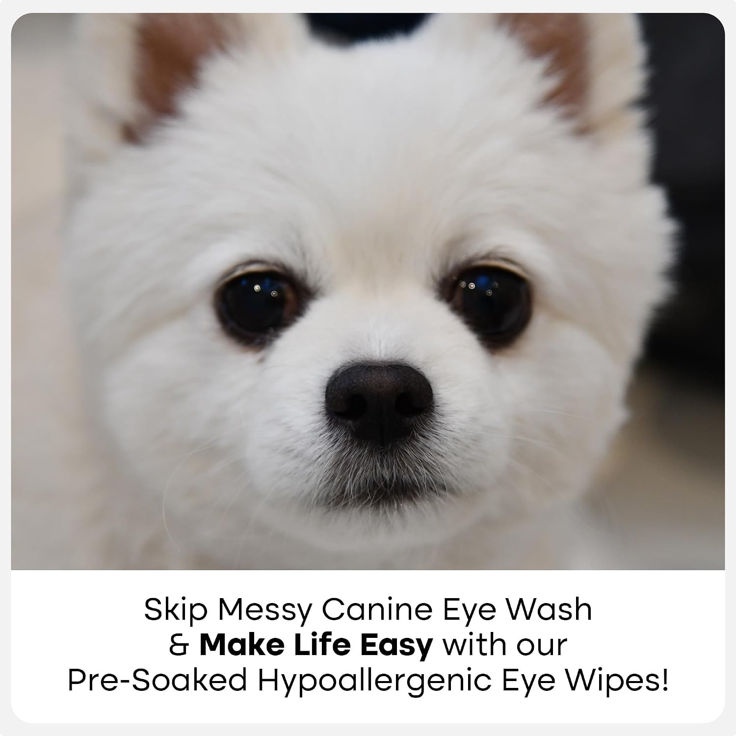 image:imageUproot Clean Pet Dental Finger Wipes Safe RinseFree Disposable 50ctEye Wipes