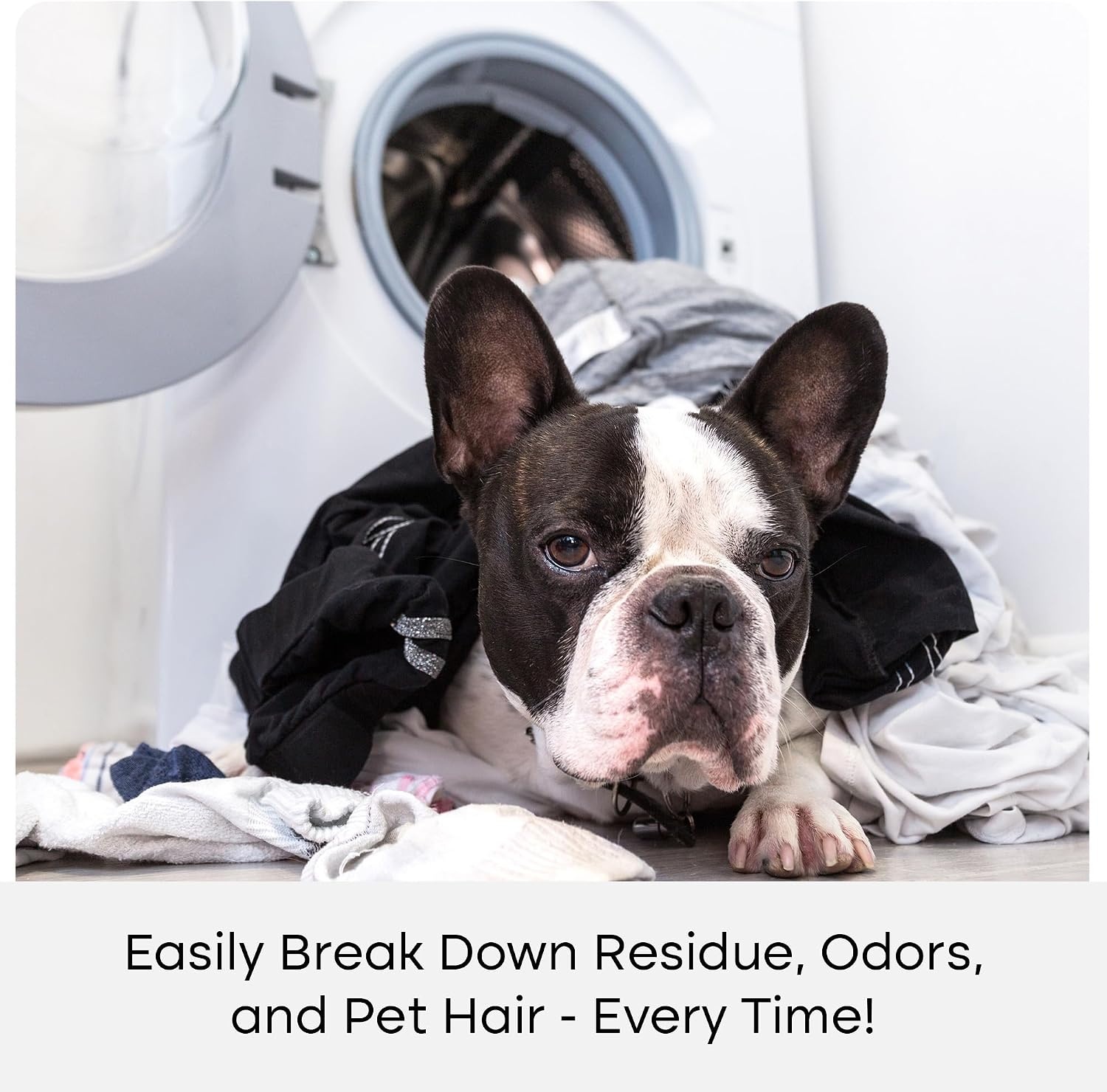 image:imageUproot Clean Pet Laundry Detergent Sheets Ultra Unscented Up to 60 LoadsPro Fresh Scent 3 pack