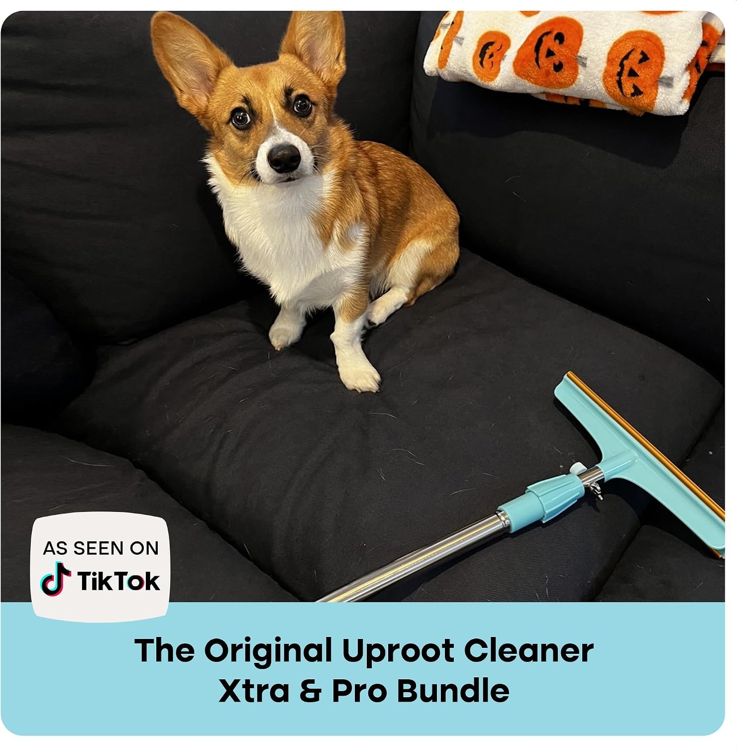 image:imageUproot Clean Pro Bundle Pet Hair Removal Tool amp Carpet Rake wt 60 HandleXtra Pro