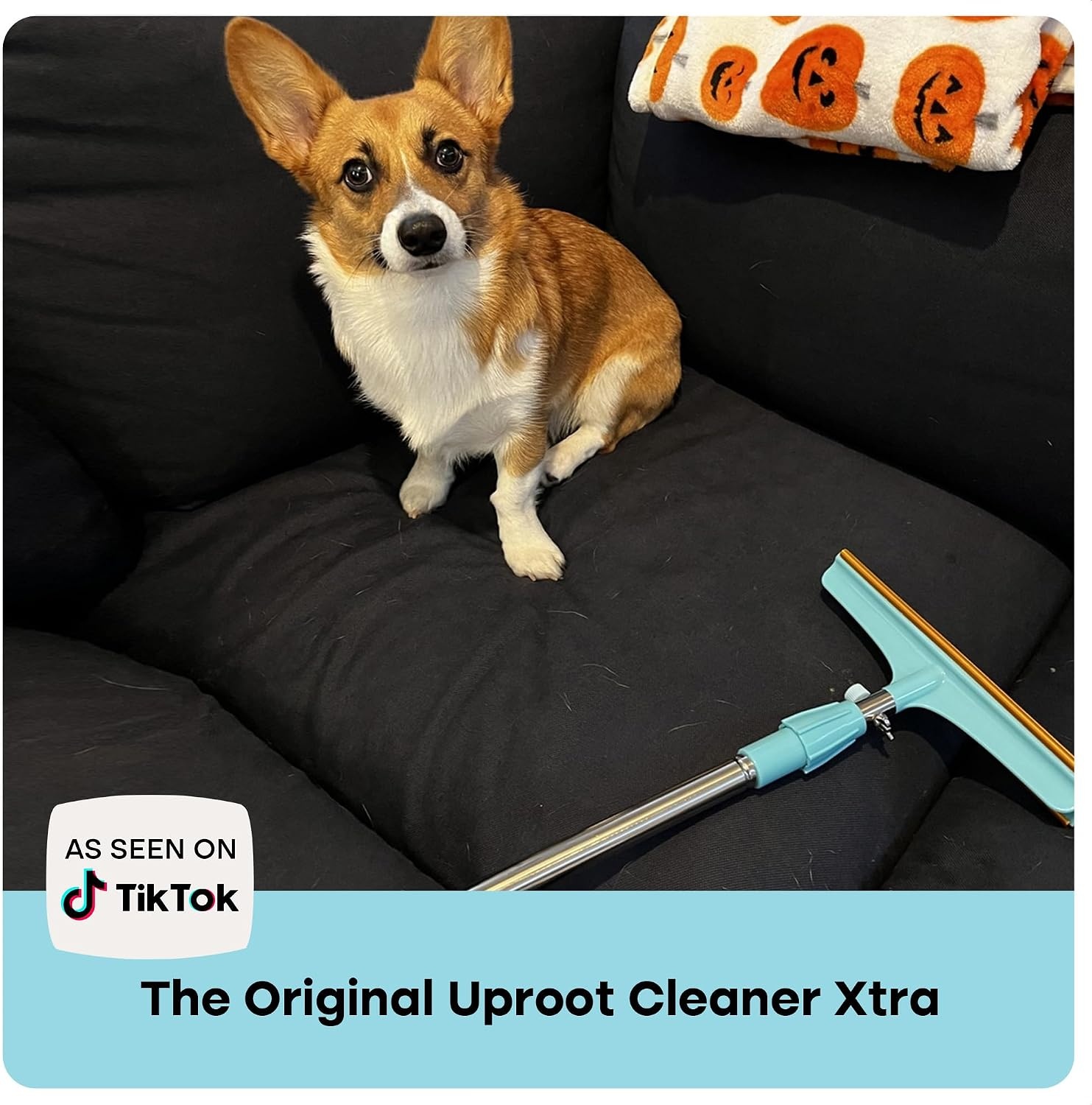 image:imageUproot Clean Xtra Carpet Rake for Pet Hair Removal 60 Telescopic Handle